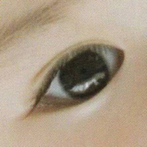 富士フイルム　カレンダー　印刷仕上げの画質（4色印刷）800dpiでスキャニング