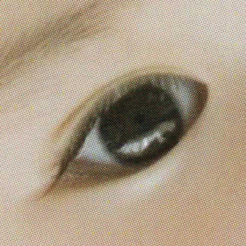 富士フイルム カレンダー 印刷仕上げの画質(4色印刷)800dpiでスキャニング