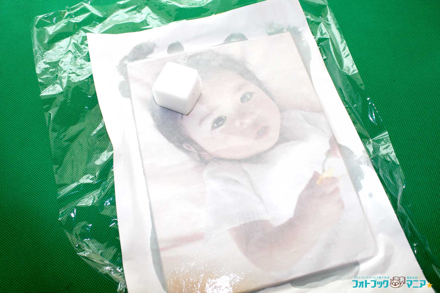 用紙全体を濡らすと、写真が浮き出てきます。