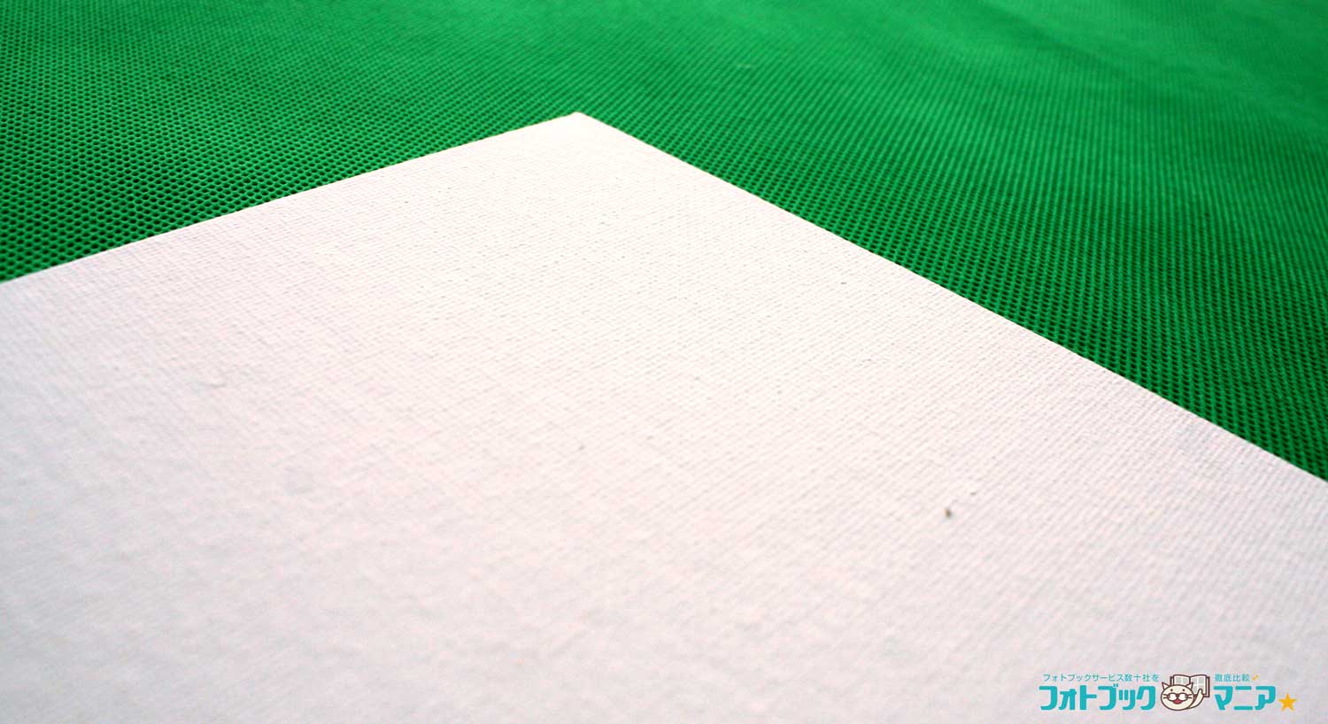 キャンバスとは、亜麻や綿などの太い糸を平織りにした厚手の生地を木枠に張ったものです。布の凸凹質感があります。