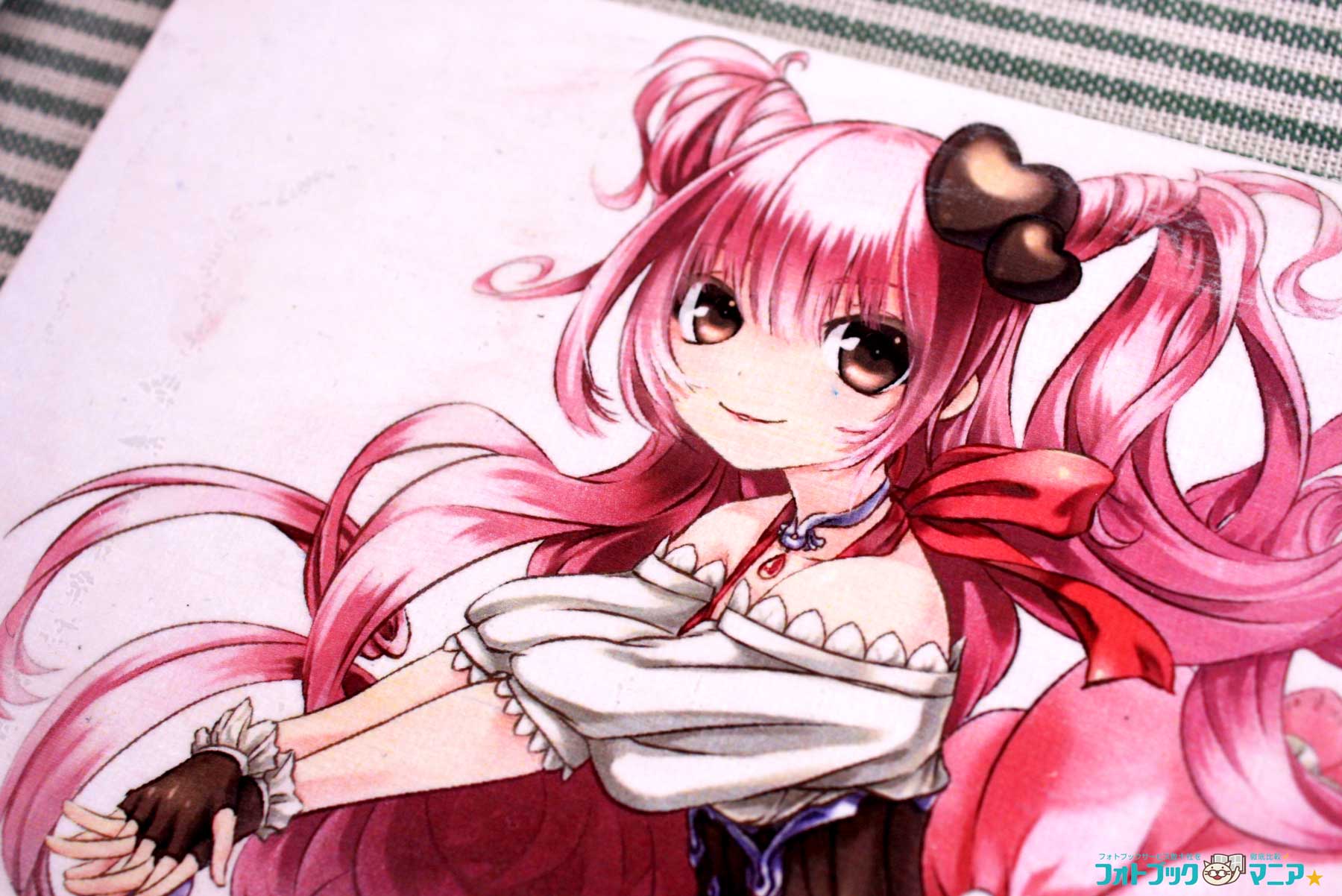 完成したキャンバスプリント　拡大　イラスト