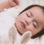 しまうま オリジナルの画質(自動補正あり)