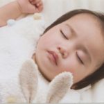 しまうま　プロ仕上げ高級プリントの画質（自動補正なし）