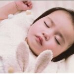 しまうま NEWデジタルプリントの画質(自動補正あり)