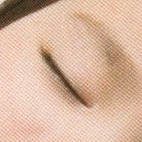 TOLOTの画質（800dpiでスキャニング）