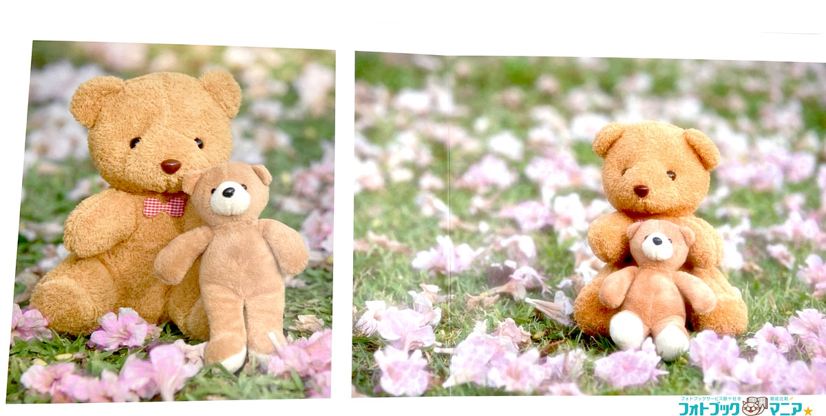 ぬい撮りのフォトブック