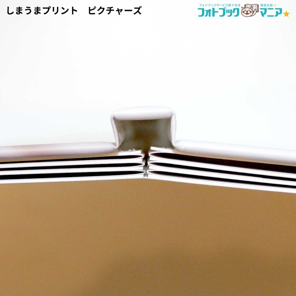 実際に作成した　しまうまプリント ピクチャーズの綴じ方